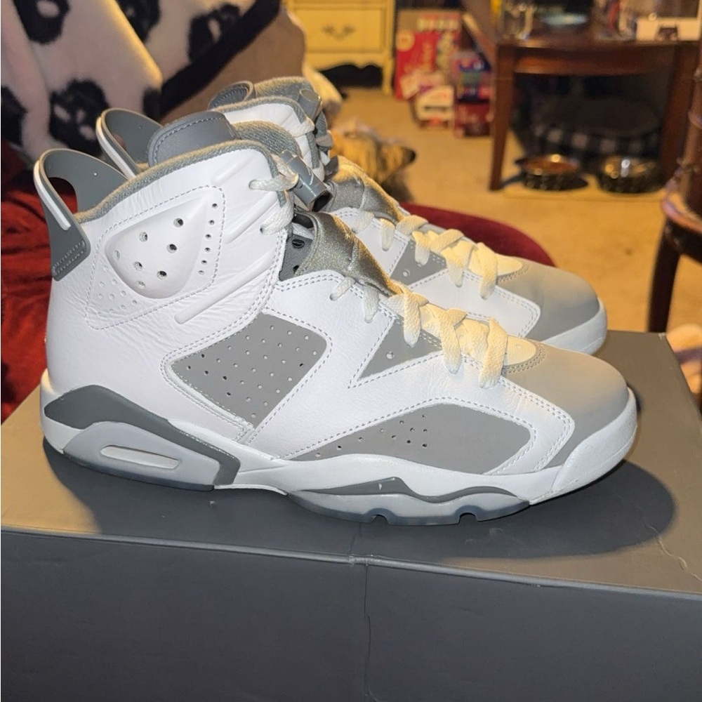Jordan 6 Retro Sneakers in the color cool gray